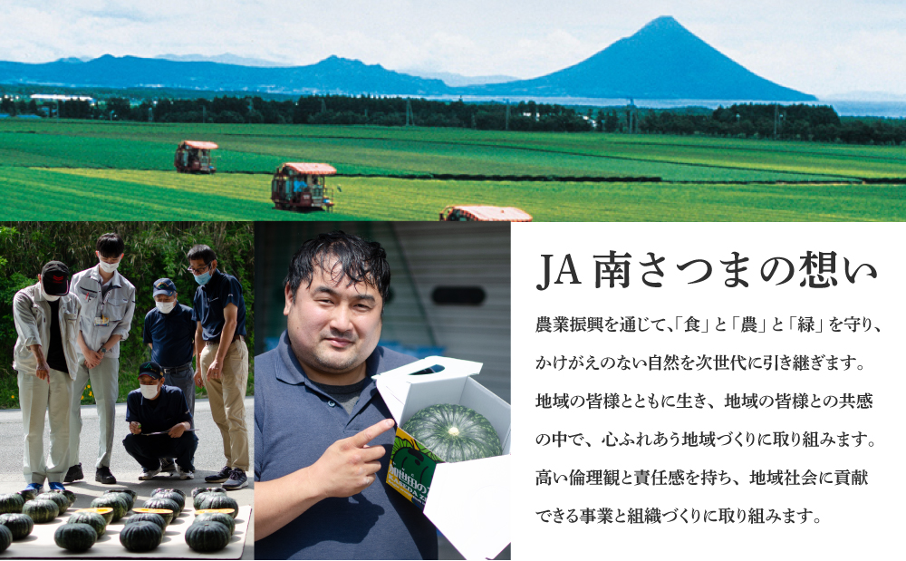 ★10月発送開始★ 鹿児島県産生さつまいも 「紅はるか」約5kg 先行受付 さつまいも 焼き芋 さつま芋 甘藷 サツマイモ べにはるか スイーツ JA 南さつま市
