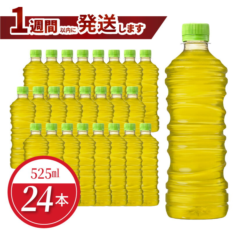【ふるさと納税】綾鷹 525ml PET ラベルレス（24本入）