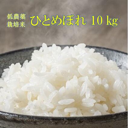 【ふるさと納税】《 新米先行予約 》令和7年産 新米 低農薬栽培米 ひとめぼれ 10kg 精米 お米 ふるさと納税 ご飯 ごはん お弁当 おにぎり 東北 国産 送料無料 米 岩手県 一関市