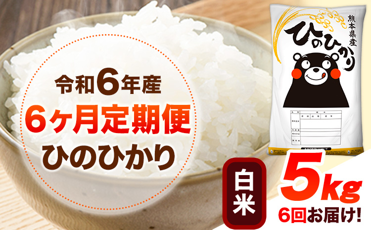 令和6年産 【6ヶ月定期便】 白米 ひのひかり 5kg 《お申し込み月の翌月から出荷開始》 熊本県産 白米 精米 ひの 送料無料 熊本県 山江村 SDGs 米 コメ こめ 国産---hn6tei_90000_5kg_mo6_ym_h---