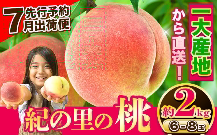 
            チョイス限定！最盛期の7月出荷！桃 もも～とろける甘さ～ 紀の里の桃 約2kg(6-8玉入り)【先行予約】 桃 2025年 先行予約2025 もも2025 白鳳 日川白鳳 八旗白鳳 清水白桃 川中島白桃 つきあかり
          