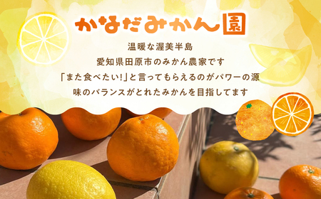 100% みかんジュース 1L × 2本 みかん 渥美半島産