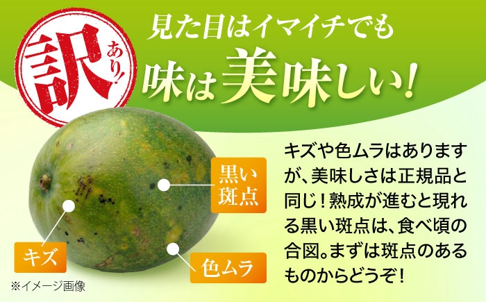 キーツマンゴー マンゴー まんごー 芒果 Mango mango 訳あり 訳アリ わけあり ワケアリ 果物 フルーツ