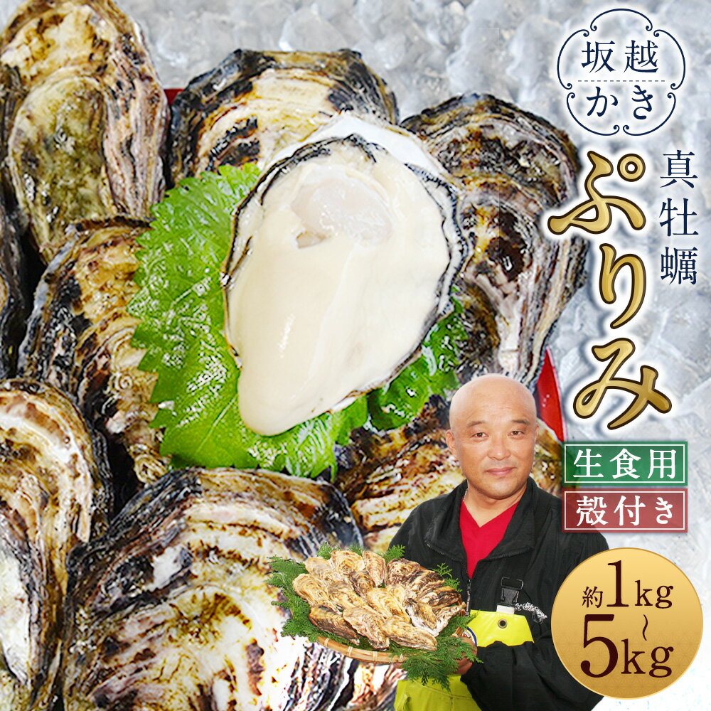【ふるさと納税】＜選べる容量＞ 生食用 真牡蠣 「ぷりみ」 約1kg・約2kg・約3kg・約4kg・約5kg ／ 牡蠣 かき カキ 生牡蠣 生かき 生カキ 生ガキ 生がき 魚介 貝 海産物 生食 ギフト 兵庫県 赤穂市 冷蔵 送料無料