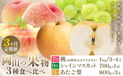 【2026年発送】【定期便】岡山の果物　3種食べ比べ 3回発送（令和8年7月中旬～11月下旬頃発送）【岡山県産 桃 白桃 ぶどう 葡萄 シャインマスカット あたご梨 3種 食べ比べ フルーツ 果物 くだもの デザート】