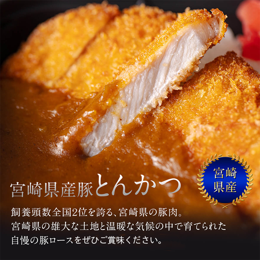 6回 定期便 豚 鶏肉 小分け お料理 セット 計10.8kg [甲斐精肉店 宮崎県 美郷町 31as0066] 肉 毎月 お届け 冷凍 宮崎県産 国産 若鶏 鳥 切落し ロース 生姜焼き とんかつ 