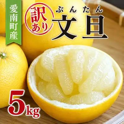 訳あり 文旦 5kg あいなんマザーズ