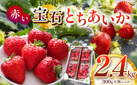 真岡市産 赤い宝石「とちあいか」いちご イチゴ 選べる 2.4kg | 苺 strawberry ストロベリー おいしい 甘い ジューシー 贈答用 プレゼント ご褒美 スイーツ おやつ 高評価 人気 レビュー 栃木県 真岡市 日本一 送料無料