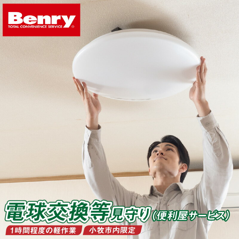 【ふるさと納税】小牧市内 電球交換 地震対策家具固定 家具移動 片付け等 見守りサービス 便利屋サービス ベンリーさつき 小牧味岡店 1時間程度 軽作業 作業 おまかせ 事前見積もり可 相談 安心 Benry 愛知県 小牧市