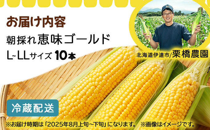 先行予約 【 2025年 発送 】北海道 朝もぎ とうもろこし 恵味 ゴールド L-LLサイズ 10本 スイート コーン トウモロコシ とうきび 旬 完熟 野菜 採れたて 朝採り 甘い めぐみ 産地直