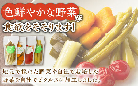 【4回定期便】季節のピクルス 4種セット [UDD004] ピクルス ピクルスセット ピクルス4種 季節のピクルス 旬野菜ピクルス ピクルス定期便