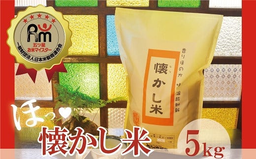 【お米マイスター】ほっ♡懐かし米 5kg H056-131