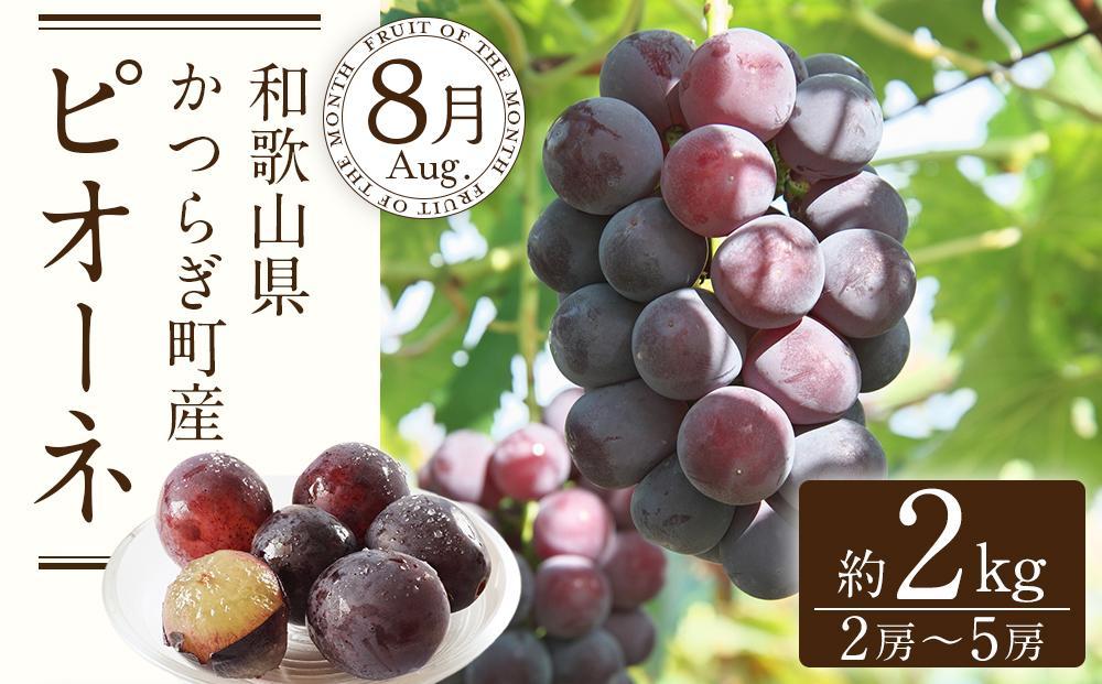 定期便全3回　和歌山の人気の夏のフルーツをお届け！