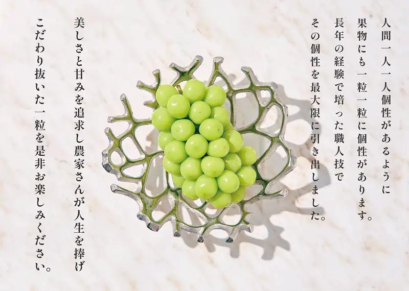 甲州市産 大粒シャインマスカット3房入り 約2kg 自然農法【2026年発送】（BNC）F-101 シャインマスカット フルーツ