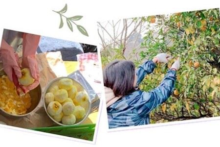 【かおりのまちまつだ】ユズアロマ いたわりセット