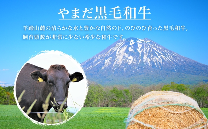 北海道 倶知安町 やまだ黒毛和牛 計800g 焼肉用 ウデ モモ バラ ミックス 200g×4 黒毛和牛 国産牛 お取り寄せ 牛肉 お祝い 和牛 ギフト A4ランク 牛 羊蹄山 送料無料 冷凍 ニセコ