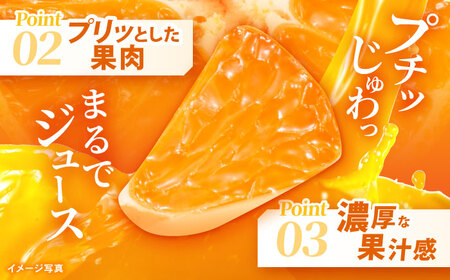 【食べる濃厚ジュース】佐瀬みかん 10kg / みかん ミカン 蜜柑 オレンジ 柑橘 フルーツ ふるーつ 果物 くだもの みかんジュース 甘い / 諫早市 / 一正[AHFL002]