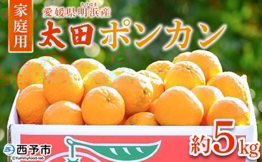 ＜太田ポンカン 家庭用 約5kg＞ 果物 くだもの フルーツ みかん ミカン 柑橘 太田ぽんかん おおたぽんかん オオタポンカン ぽんかん 訳あり ご自宅用 特産品 株式会社笑丸 愛媛県 西予市【常温】