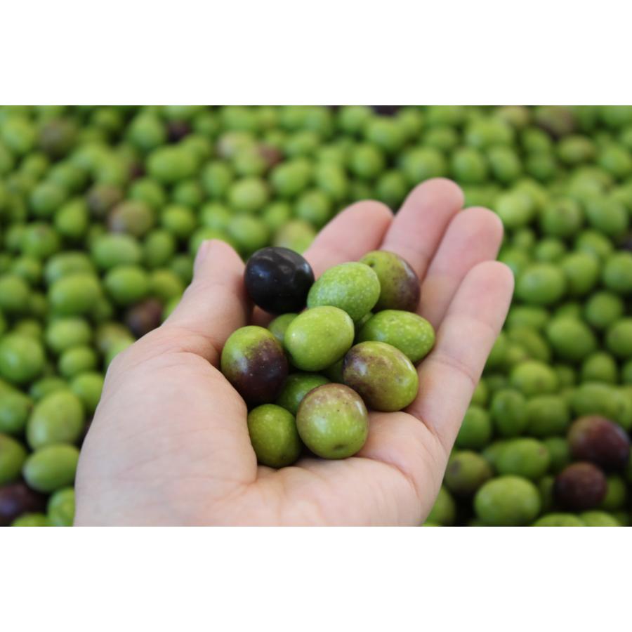 <天草オリーブ園AVILO>天草スペシャルブレンド ブラック the chef450g