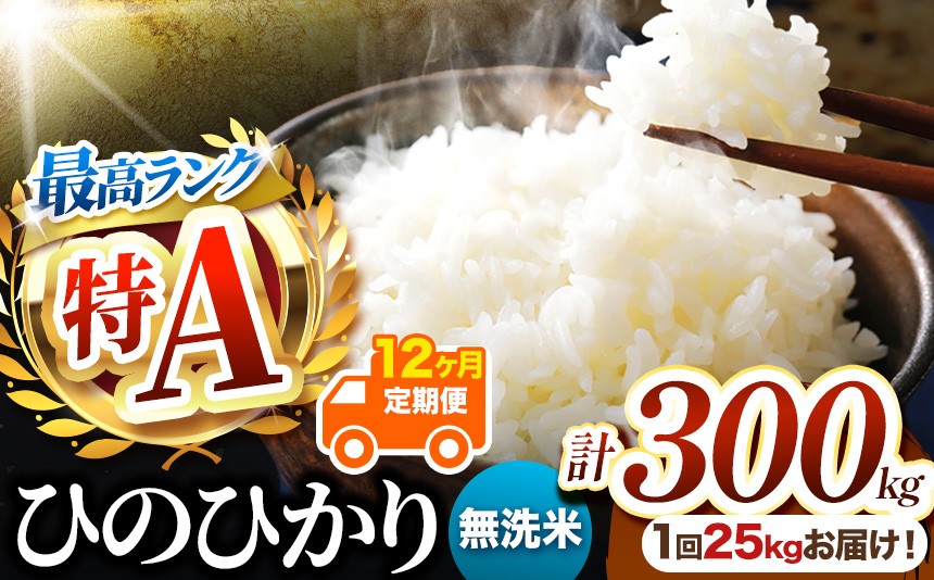 
                  【 定期便12回 】熊本県産 無洗米 ひのひかり 25kg | お米 米 こめ おこめ 精米 無洗米 ヒノヒカリ ご飯 国産 国産米 定期 くまもと 熊本 熊本県 玉名市 玉名
                