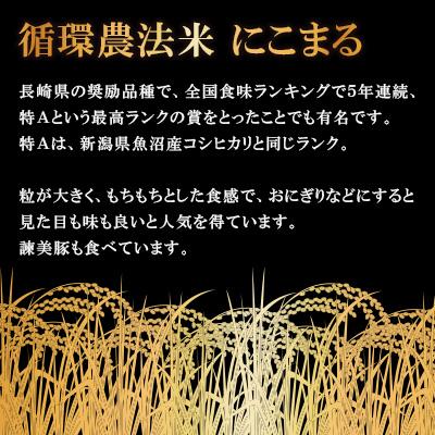 ふるさと納税 諫早市 【土井農場】特Aランクに輝いた「にこまる」10kg(白米) |  | 02