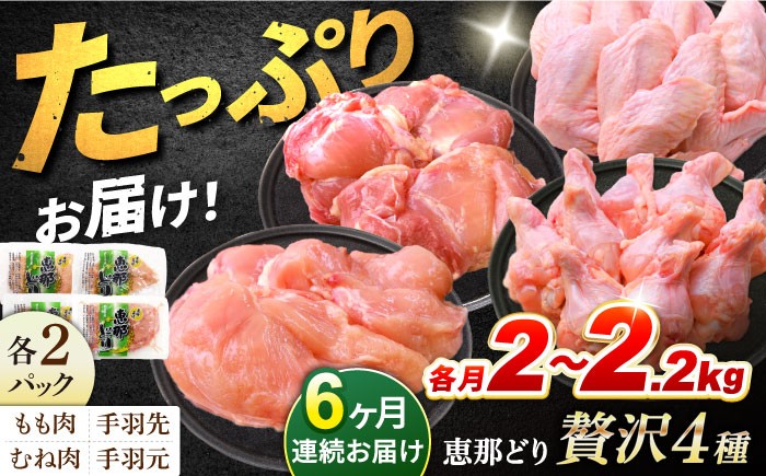 
            【6回定期便】 【冷凍】 恵那どり 贅沢4種 詰め合わせ (もも肉2枚 むね肉2枚 手羽先10本 手羽元10本) 小分け セット (約2~2.2kg×6回)　鶏肉 とりにく 冷凍 手羽　多治見市/トーノーデリカ  [TEZ015]
          