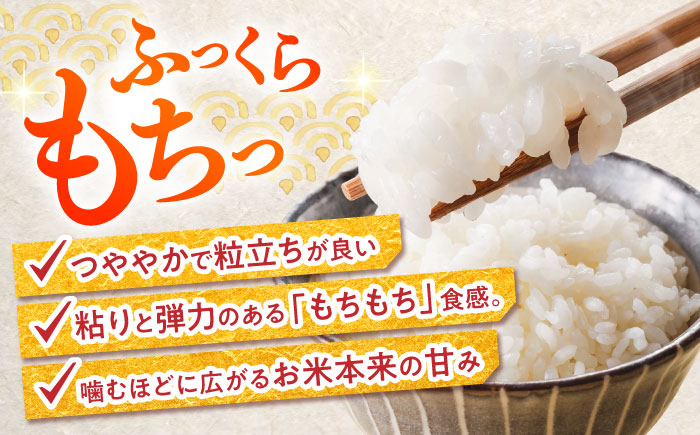 【特別栽培米】 ヒノヒカリ 10kg (5kg×2袋) / 米 精米 白米 ごはん ご飯 ひのひかり / 南島原市 / 農家民宿　いちご一会 [SBN002]