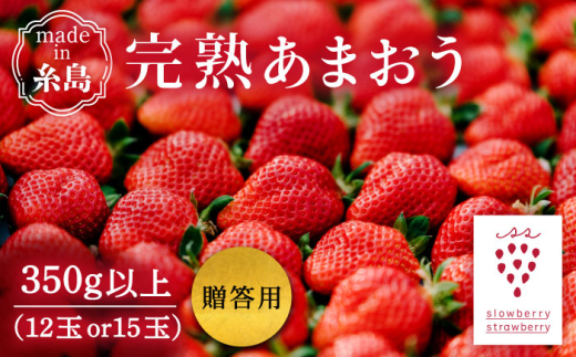 【先行受付】【数量限定】完熟あまおう・贈答用 12玉または15玉 【2027年1月以降順次発送】糸島市 / slowberry strawberry [APJ009]