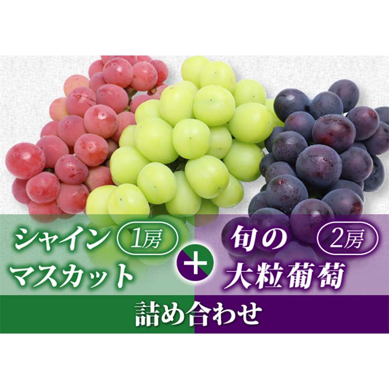 【ふるさと納税】【令和8年先行受付】シャインマスカット＆旬の大粒ぶどう 詰め合わせ 1.8kg（計3房） ぶどう 果物 フルーツ FSY-2106