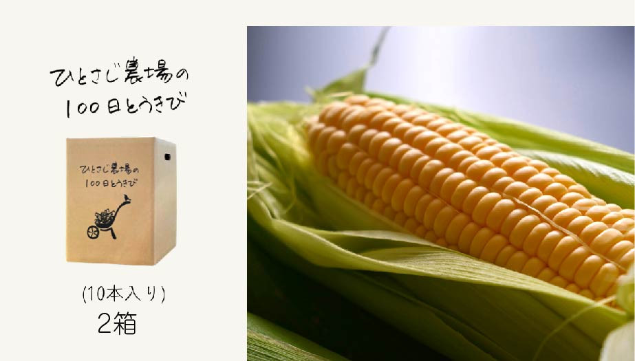 
            【先行予約】とうもろこし 2箱 朝採れ <令和7年産 >墫乃字 ひとさじ農場の100日とうきび（朝採れ・農場直送）[027-15] 
          