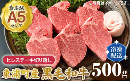 東浦町産最高級A5ランク黒毛和牛 フィレステーキ切り落し(約500g) [0088] 