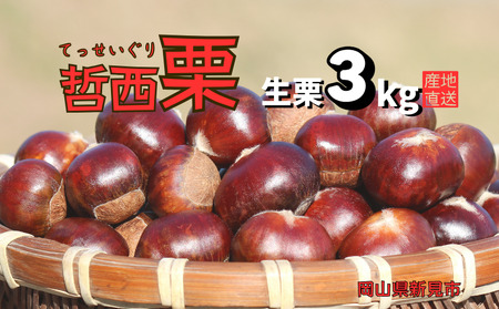 哲西栗（生栗）3kg 【先行予約 2026年10月から順次発送】