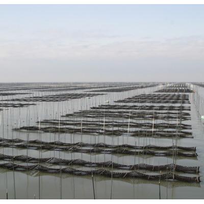 ふるさと納税 筑前町 (福岡有明海苔5つの味)　有明海産一番摘「味付けおかず海苔　15袋入詰合セット」(筑前町) |  | 03