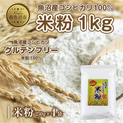 ふるさと納税 南魚沼市 米粉 250g×4袋 計1kg 魚沼産 コシヒカリ 小麦粉不使用 グルテンフリー  新潟県 南魚沼市