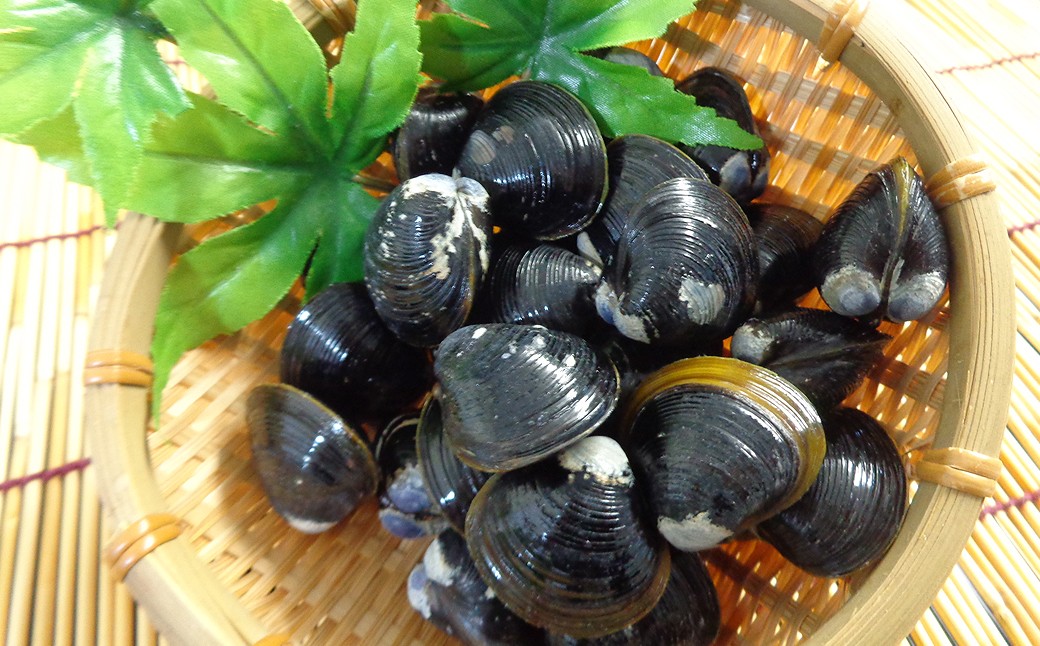 D24-008 東郷湖冷凍しじみ（大粒） 4.5kg