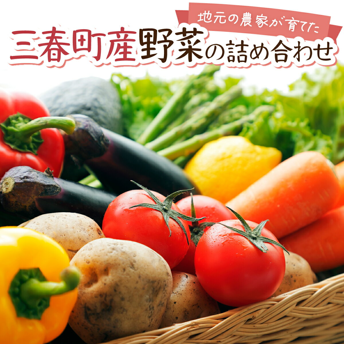 【ふるさと納税】【旬の野菜】三春町産野菜の詰合せ 約10〜15kg 【季節野菜 7〜8種類 セット 詰め合わせ アスパラ 玉ねぎ 新鮮 厳選 国産 BBQ バーベキュー 贈り物】【07521-0007】