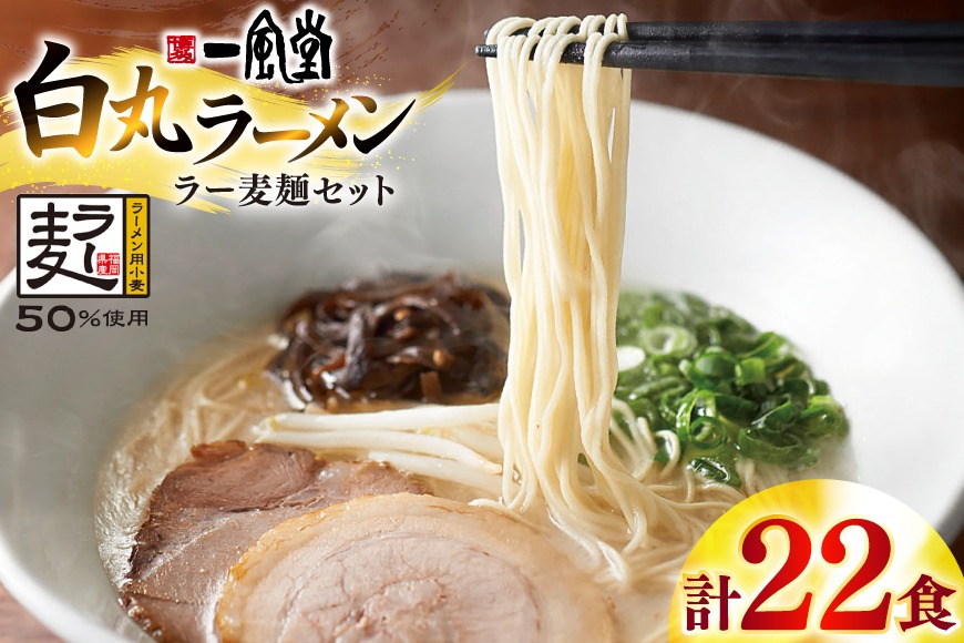 ラーメン 一風堂 白丸 ラー麦麺 セット 計22食 [地域商社ふるさぽ 福岡県 宇美町 um40bfw220004] らーめん 豚骨 とんこつ 博多ラーメン 豚骨ラーメン 詰め合わせ
