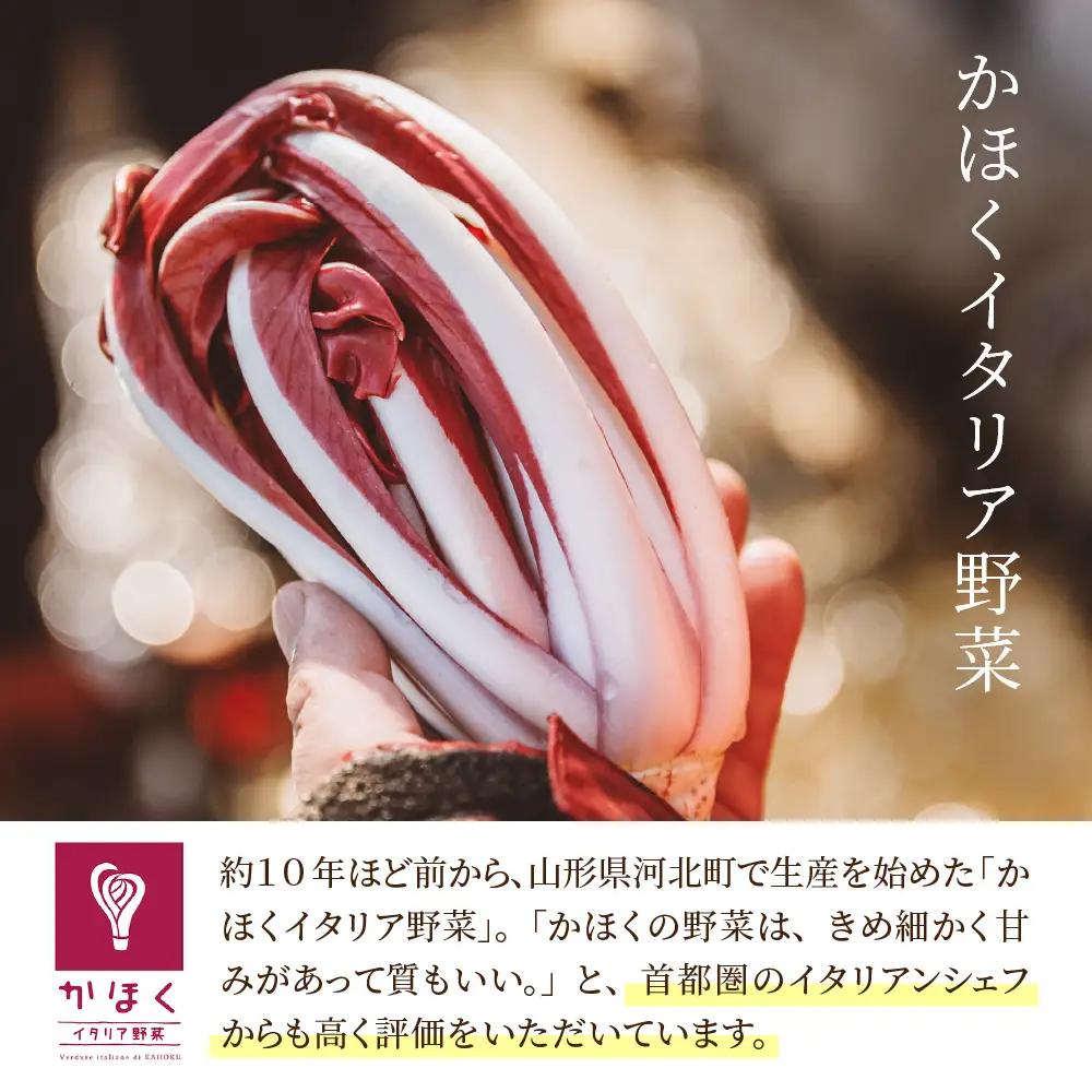 野菜 かほくイタリア野菜 旬のおまかせBOX 8-10種 野菜