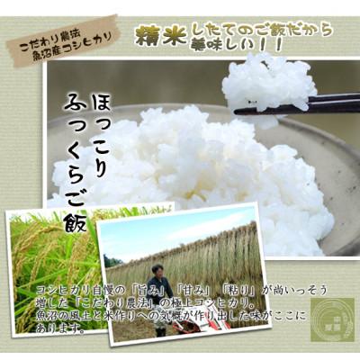 ふるさと納税 十日町市 魚沼産コシヒカリ非BL米 精米 計5kg |  | 03