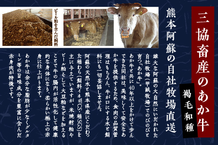 あか牛 バラ 切り落とし 500g セット あか牛のタレ 200ml 付 【 牛肉 使いやすい 熊本産 国産牛 和牛 赤身 ヘルシー 熊本県 多良木町 タレ付 】046-0621