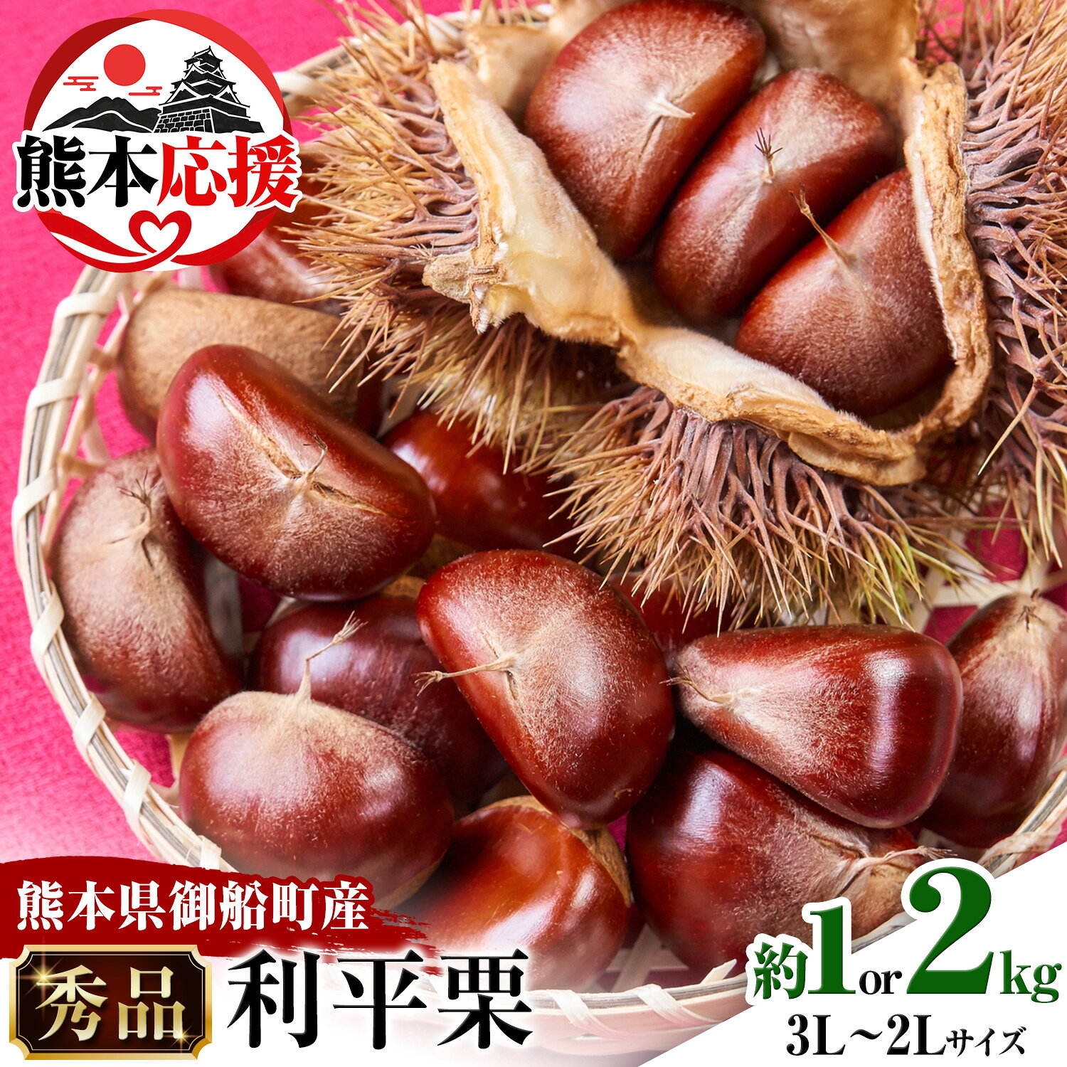 【ふるさと納税】【先行予約】利平栗 熊本県御船町産限定 約1 or 2kg(3L-2Lサイズ)　秋 旬 野菜 予約 スイーツ きんとん 甘露煮 渋皮煮 栗ご飯 熊本県御船町《2026年9月下旬-2026年10月上旬頃出荷》