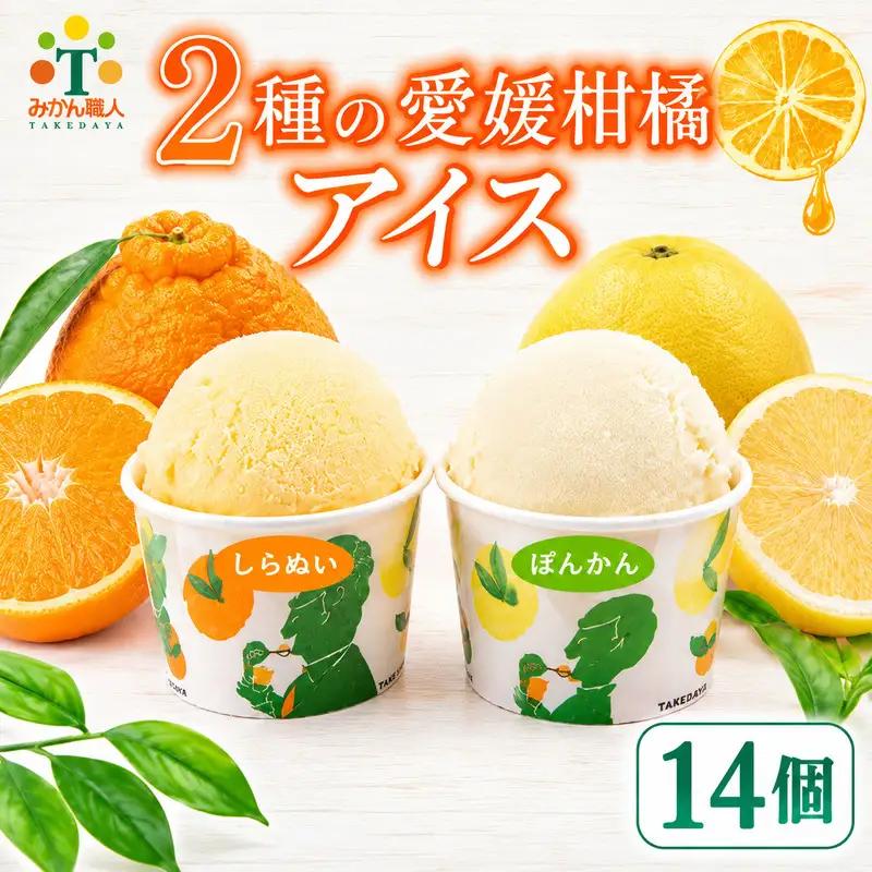 柑橘アイス カップ 14個 (2種 各7個入り) 【河内晩柑 しらぬい】みかん職人武田屋 愛媛県 愛南町