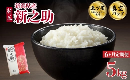 【5kg定期便】 6か月 新之助 真空パック 5kg 令和7年産 米 新米 五つ星お米マイスター 新米 新潟県産 新発田産 しんのすけ 備蓄 非常 防災 長期保存 アウトドア ごはん ご飯 お米 米 こめ 新潟県 新発田市 三糧定期便 sanryo016