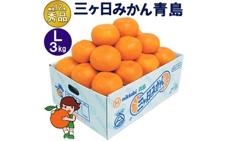 三ケ日みかん 青島【秀品】Lサイズ3kg(23個前後) ミカン 果物 くだもの フルーツ 甘い 果物類 柑橘類 静岡 浜松市【配送不可：北海道・沖縄・離島】