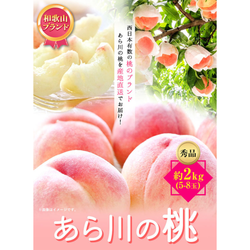 【先行予約】和歌山産あら川の桃 約 2kg （5玉～8玉）  秀品 前商店《6月末-7月中旬頃出荷》 和歌山県 紀の川市
