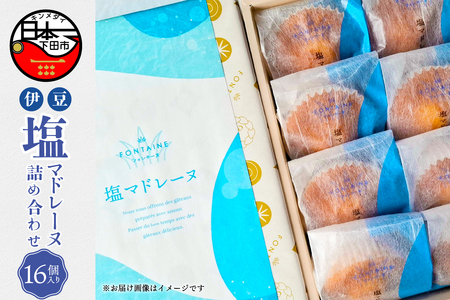 伊豆塩マドレーヌ詰合せ（16個入）[お菓子 焼き菓子]