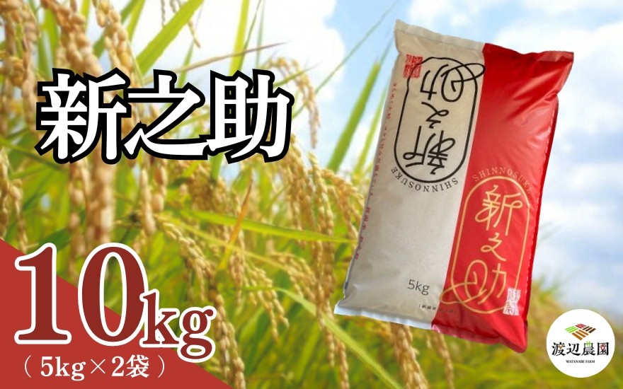 
                  【令和8年産米先行予約】 渡辺農園 新之助10kg(5kg×2袋) 新潟県 五泉市 渡辺農園
                