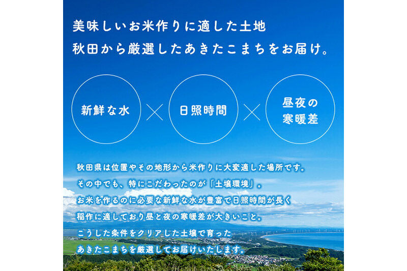 《定期便10ヶ月》あきたこまち 3kg×1袋【7分づき】令和7年産 秋田県産 こまちライン [こまちライン あきたこまち ブランド米 お米 7分搗き 精米 米どころ 秋田 秋田県産]