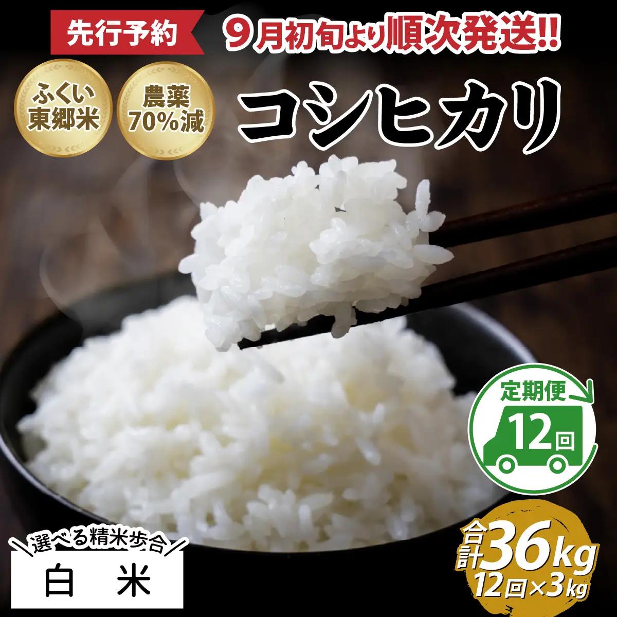 【先行予約】【白米】【定期便12ヶ月連続】令和8年産 新米 ふくい東郷米 特別栽培米 農薬70％減 コシヒカリ 3kg×12ヶ月 合計36kg[J-020024_01]