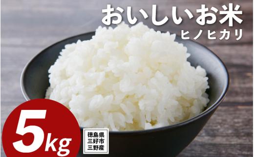 米 令和7年産 新米 5kg ヒノヒカリ 米 こめ お米 ご飯 ごはん おにぎり 白米 精米 ギフト 贈答 プレゼント グルメ 送料無料 徳島県 三好市 みよし 篠原農園